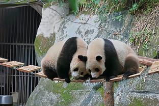 今夏合同到期，切尔西球迷组织：会为弟媳进行特别的告别仪式